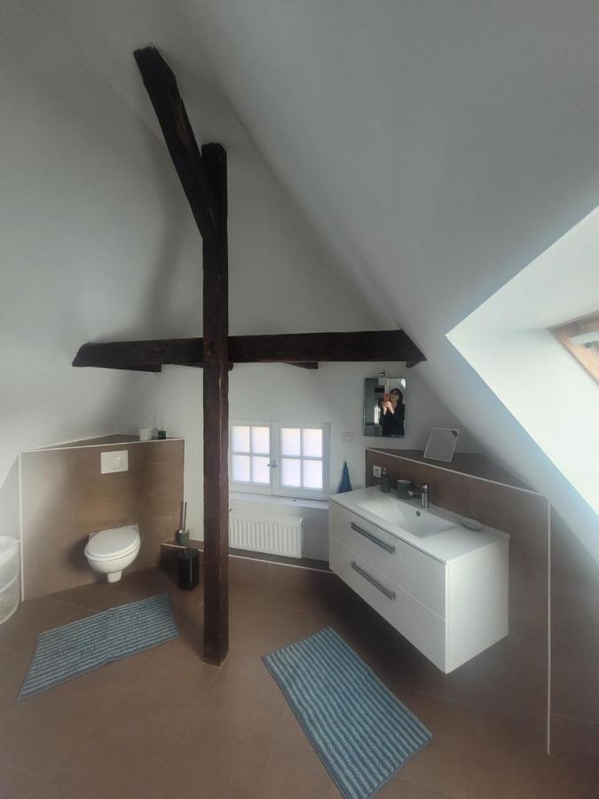 Studio 50M2 Au Bord De L'Eau A Strasbourg Estrasburgo Exterior foto